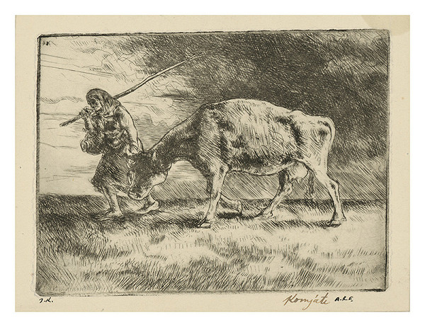 Gyula Komjáti – Z poľa 