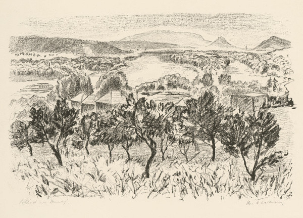 Matilda Čechová – Pohľad na Dunaj 