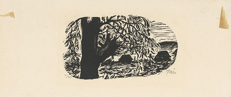 Tibor Gáll – Prekliaty 