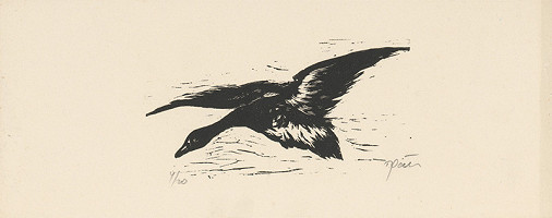 Tibor Gáll – Letiaca hus 