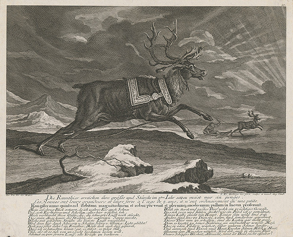 Johann Elias Ridinger – Ujdený sob 