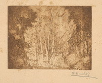 Bohumil Hanák – Stromy 