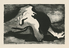 Jarmila Pavlíčková – Nemohúcnosť 