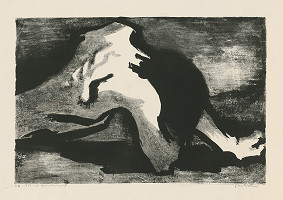 Jarmila Pavlíčková – Nemohúcnosť 