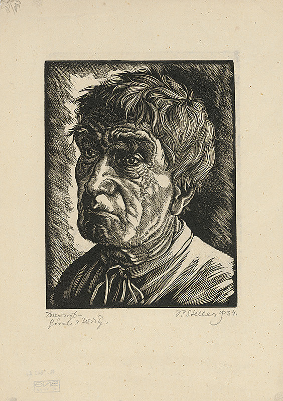 Pawel Steller – Goral z Wisly