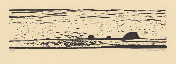 Alojz Klimo – Pole s vrakmi 