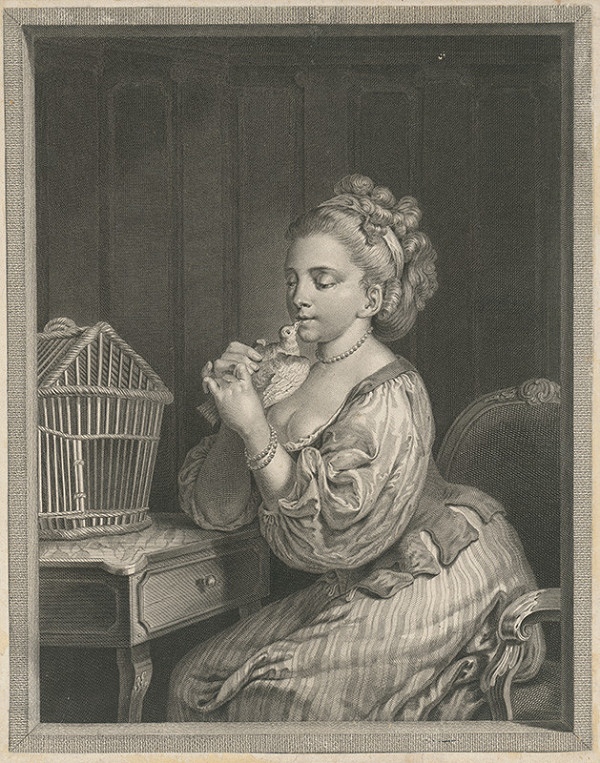 Francúzsky autor z 18. storočia – Dievča s holubom