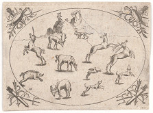 Jacob Binck – Zvieratá 