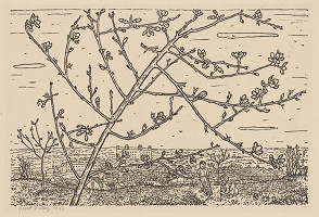 Orest Dubay – Bratislava 