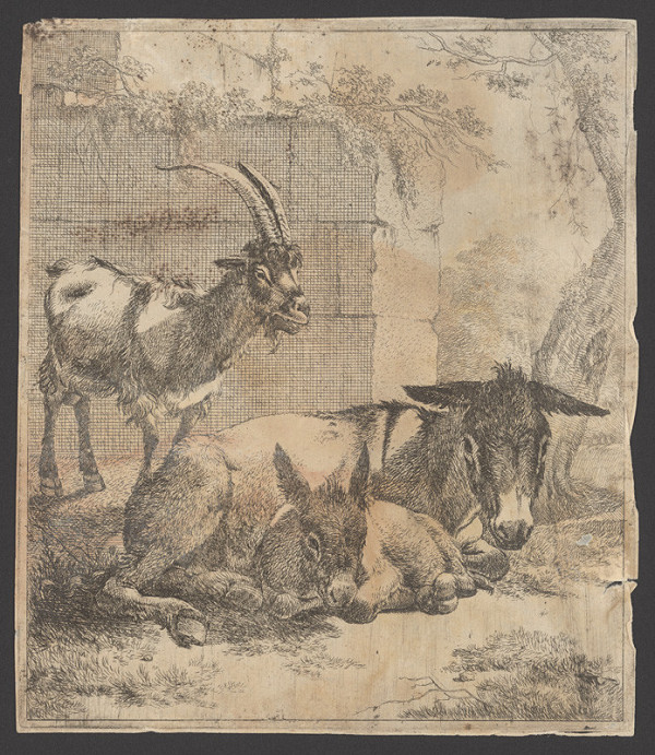 Johann Heinrich Roos – Oslica so somárom 