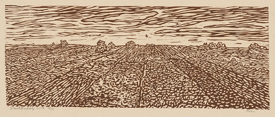 Orest Dubay – Polia 