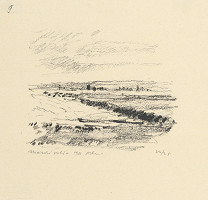 Andrej Doboš – Ukrajinské polia 