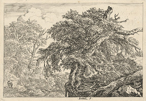 Jacob Isaackszon van Ruisdael – Starý les (Dvaja sedliaci so psom) 