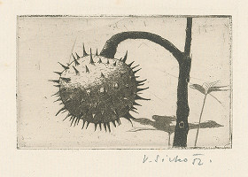 Václav Sivko – Gaštanový plod 