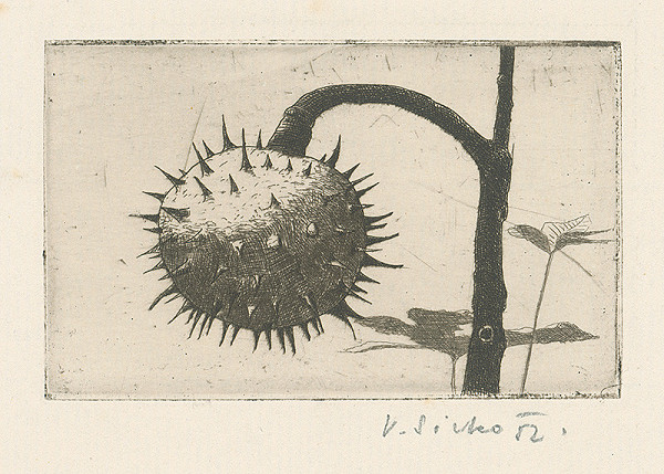 Václav Sivko – Gaštanový plod 