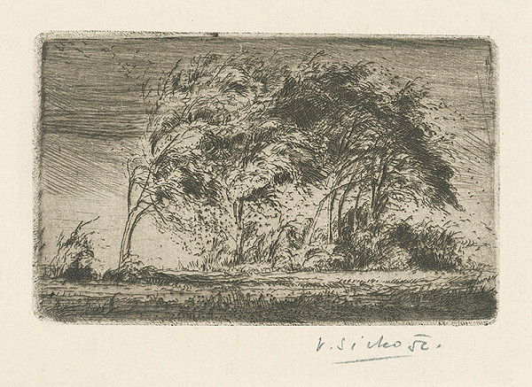 Václav Sivko – Stromy vo vetre