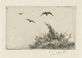 Václav Sivko – Vtáci odlietajú 