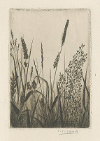 Václav Sivko – V tráve 