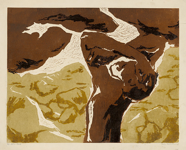 Jarmila Pavlíčková – Úsvit 