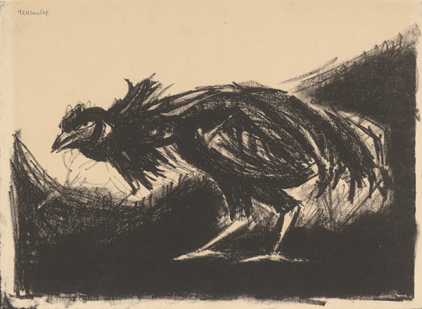 Viliam Chmel – Kurča 