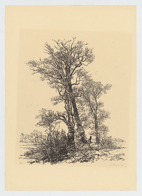 Alojz Klimo – Staré stromy 