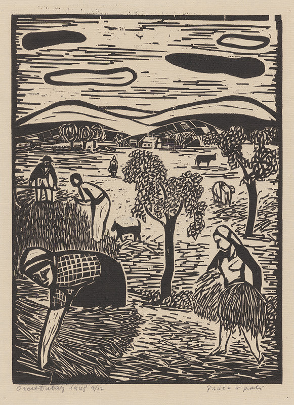 Orest Dubay – Práca v poli 