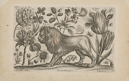 Václav Hollar, John Dunstall – Lev 