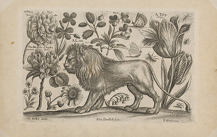 Václav Hollar, John Dunstall – Lev 