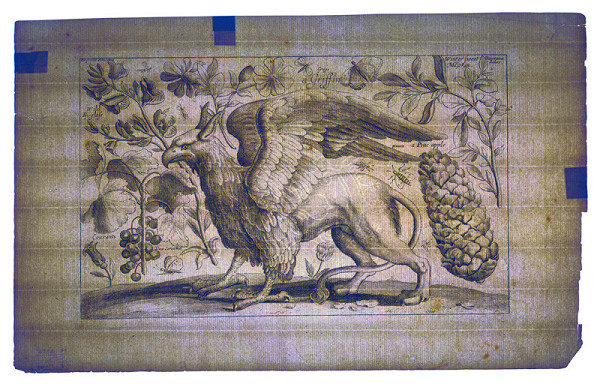 Václav Hollar – Mytologická obluda 