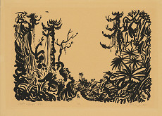 Ľubomír Kellenberger – Cesta v džungli 