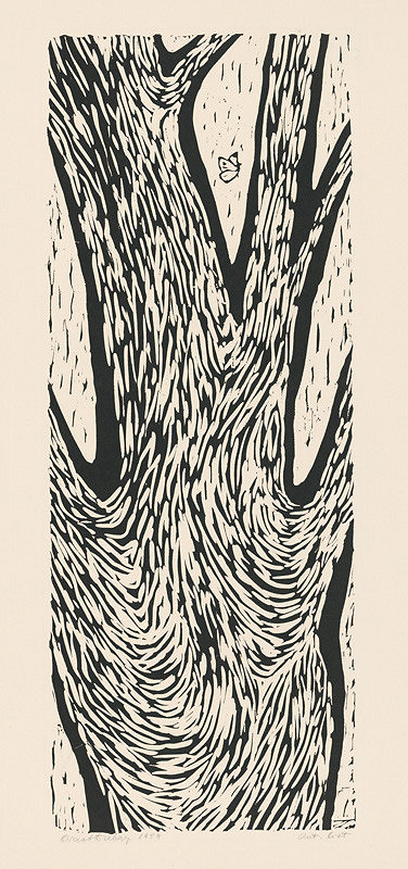 Orest Dubay – Motýľ 