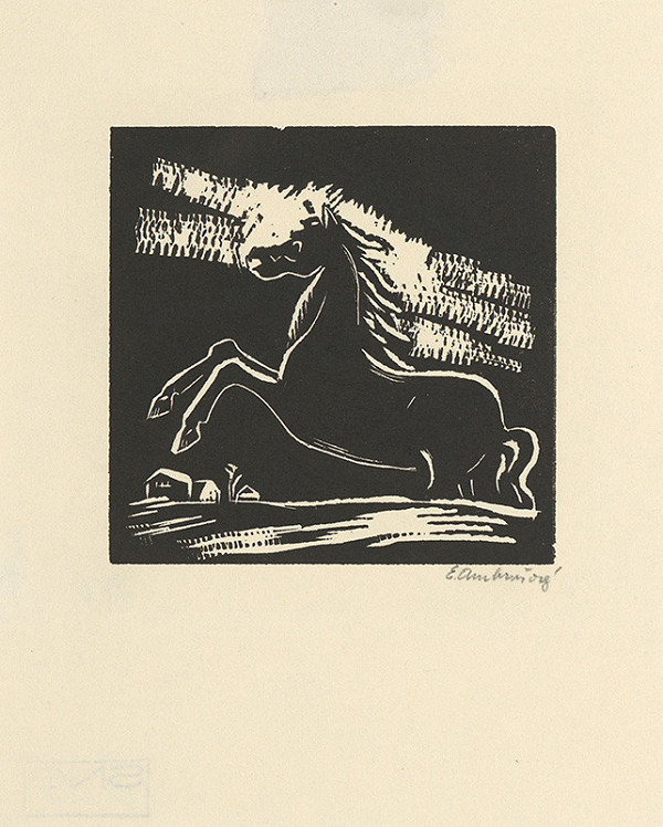 Edita Ambrušová – Koník 