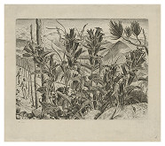 Cyril Bouda – Horské kvety 