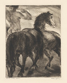 Eugen Krón – Kone 