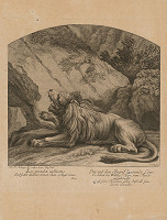 Johann Elias Ridinger – Lev 