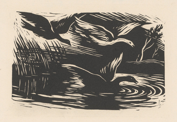 Alojz Pepich – Divé husi 