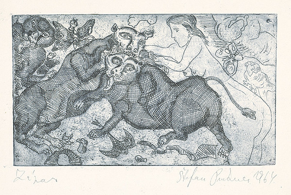 Štefan Prukner – Zápas 