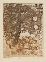 Dagmar Kočišová – Rozputnaný živel 