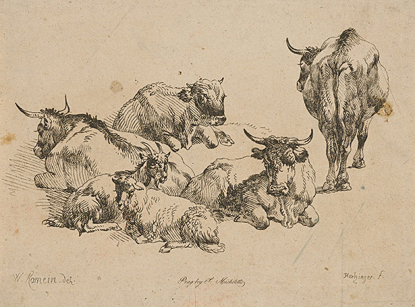 Willem Romeyn, Anton Herzinger – Črieda dobytka