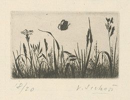 Václav Sivko – Tráva 