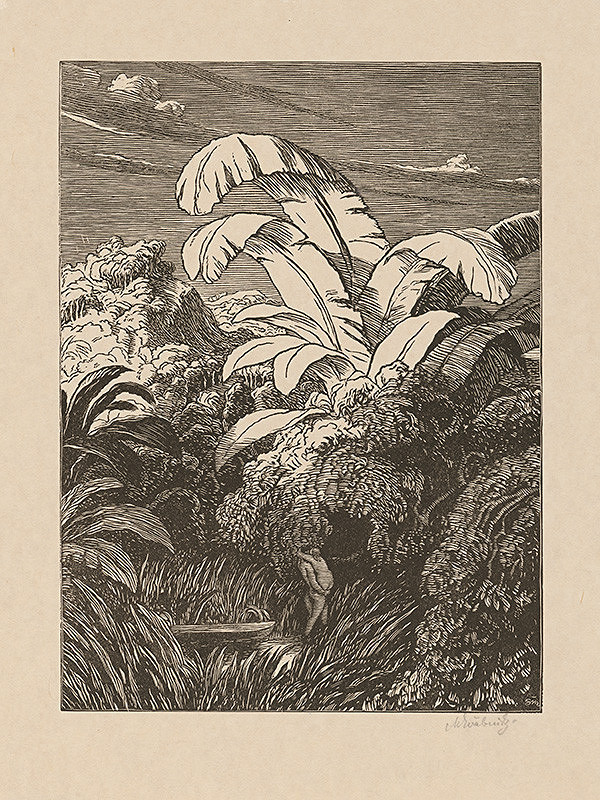 Max Švabinský – Život v pralese