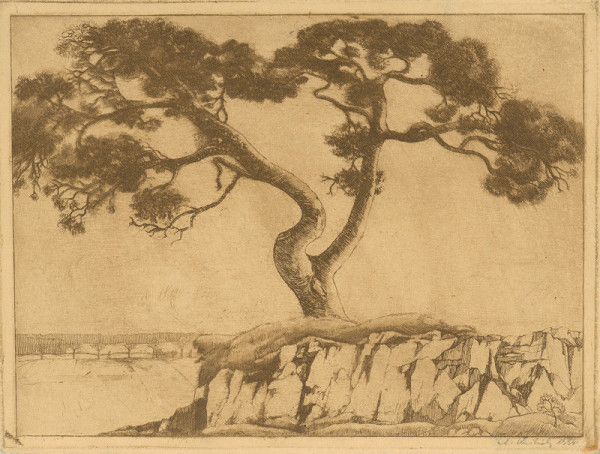 Aurel Kajlich – Borovica I. 