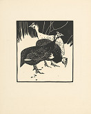 Norbertine von Bresslern-Roth – Perličky 