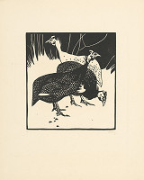 Norbertine von Bresslern-Roth – Perličky 