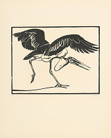 Norbertine von Bresslern-Roth – Marabu 