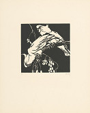 Norbertine von Bresslern-Roth – Kakadu 