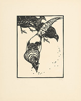 Norbertine von Bresslern-Roth – Bažanty 