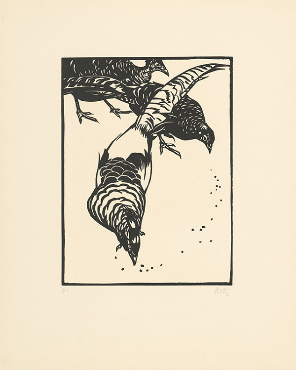 Norbertine von Bresslern-Roth – Bažanty 