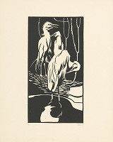 Norbertine von Bresslern-Roth – Volavky 