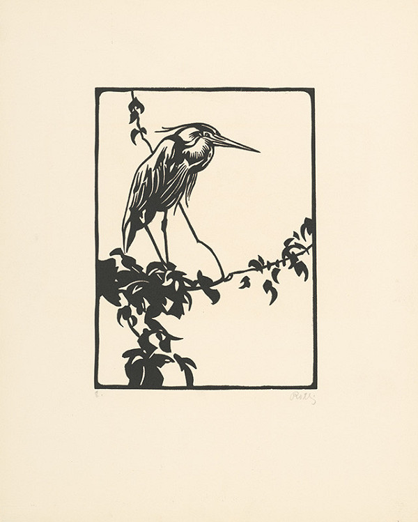 Norbertine von Bresslern-Roth – Volavka popolavá 